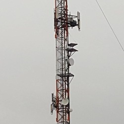 chch_photo2