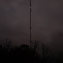 chch_photo5