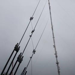 chch_photo8
