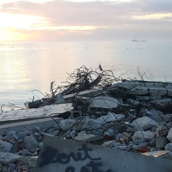 lss_photo1.jpg