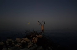 lss_photo10.jpg