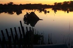 lss_photo12.jpg
