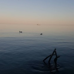 lss_photo13.jpg