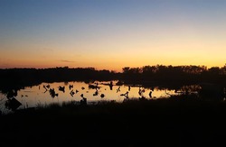 lss_photo14.jpg