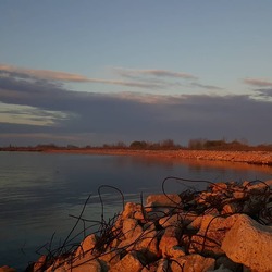 lss_photo2.jpg