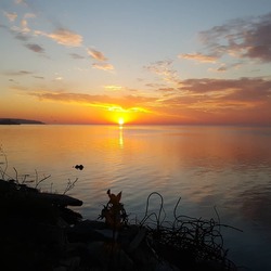 lss_photo4.jpg