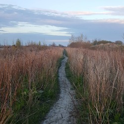 lss_photo5.jpg