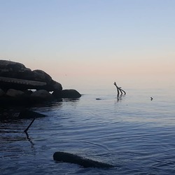 lss_photo7.jpg