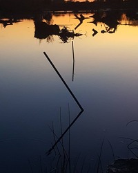 lss_photo8.jpg