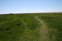 crossways.jpg