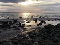 family_sunset.jpg