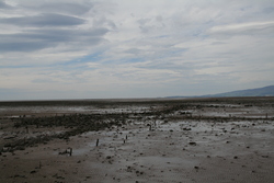 oldpier.jpg